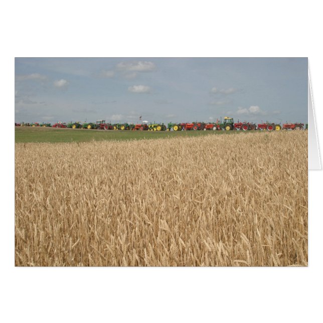 Tractors in Wheat Field Card (Front Horizontal)
