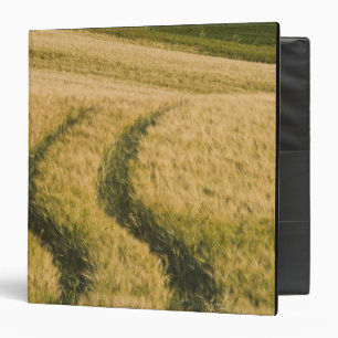 Tractors tracks through wheat, Tuscany, Italy Binder