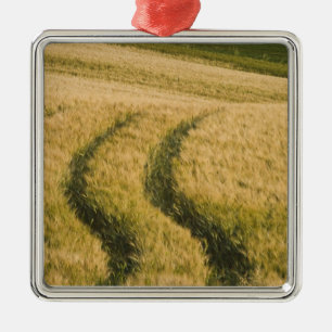 Tractors tracks through wheat, Tuscany, Italy Metal Ornament