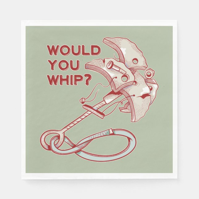 TRAD CLIMBING WHIPPER FALL NAPKIN (Front)