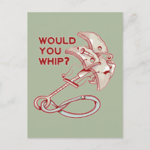 TRAD CLIMBING WHIPPER FALL POSTCARD