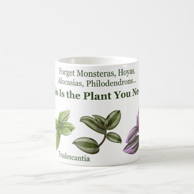 Tradescantia mug 3 (Centre)