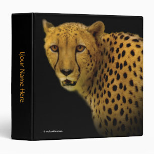 Trading Glances with a Magnificent Cheetah Binder