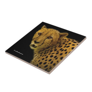 Trading Glances with a Magnificent Cheetah Tile