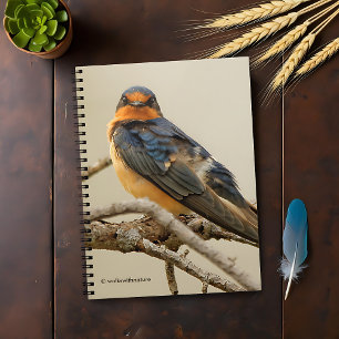 Trading Stares with a Barn Swallow Notebook