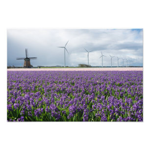 Traditional and modern windmill in Holland print