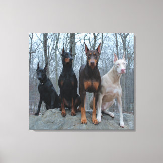 Traditional and Off Coloured Harmony Canvas Print