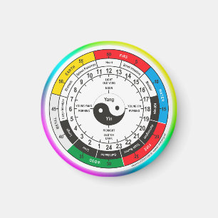 Traditional Chinese Medicine Body Clock Square Sti Magnet