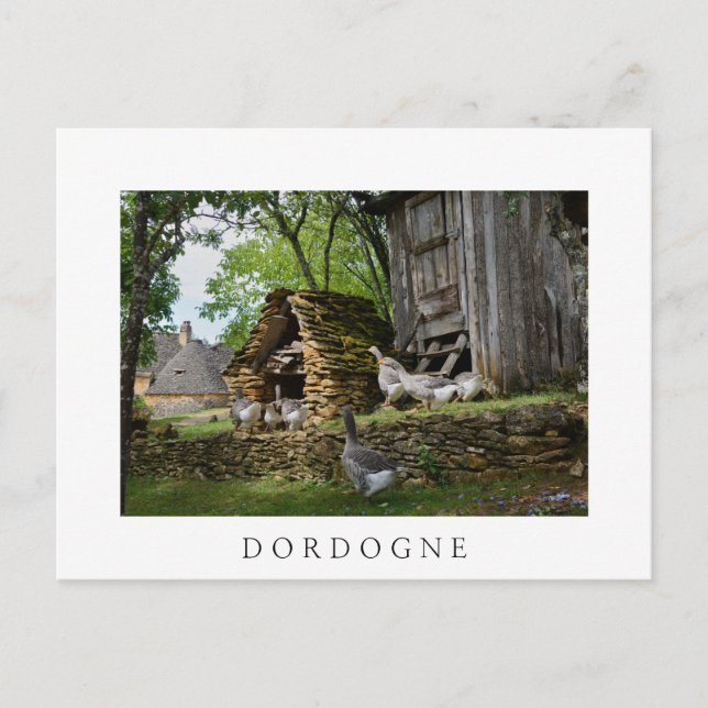 Traditional foie gras goose farm white postcard (Front)