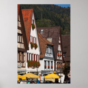 Traditional Germany Houses Poster