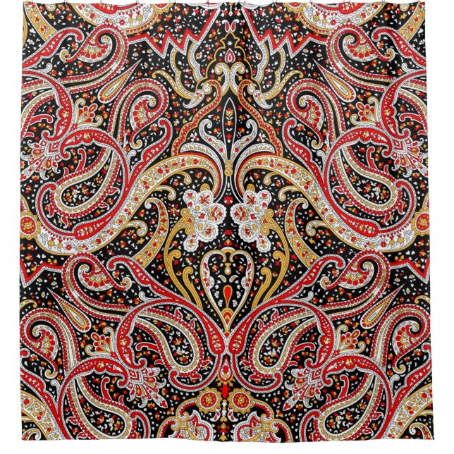 traditional indian paisley pattern (Front)