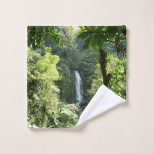 Trafalgar Falls Tropical Rainforest Photographie