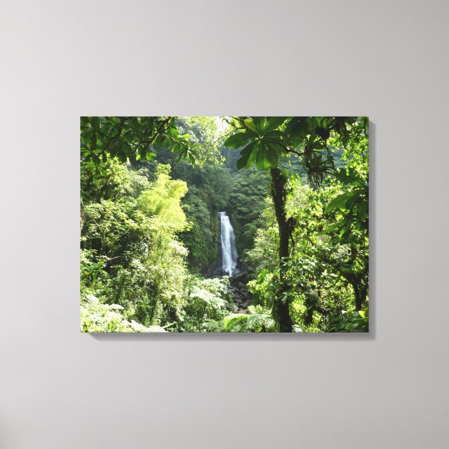 Trafalgar Falls Tropical Rainforest Photography Canvas Print (Front)