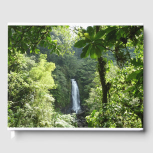 Trafalgar Falls Tropical Rainforest Photography Guest Book