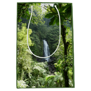 Trafalgar Falls Tropical Rainforest Photography Medium Gift Bag