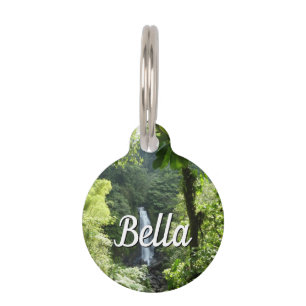 Trafalgar Falls Tropical Rainforest Photography Pet Tag