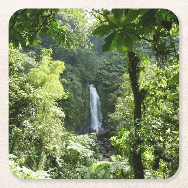 Trafalgar Falls Tropical Rainforest Photography Square Paper Coaster (Front)