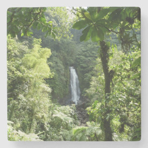 Trafalgar Falls Tropical Rainforest Photography Stone Coaster