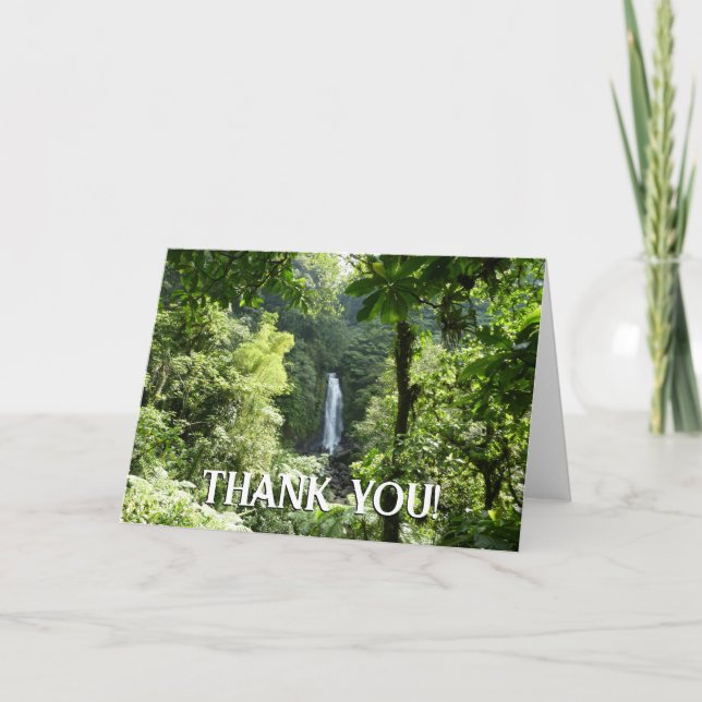 Trafalgar Falls Tropical Rainforest Photography Thank You Card (Front)