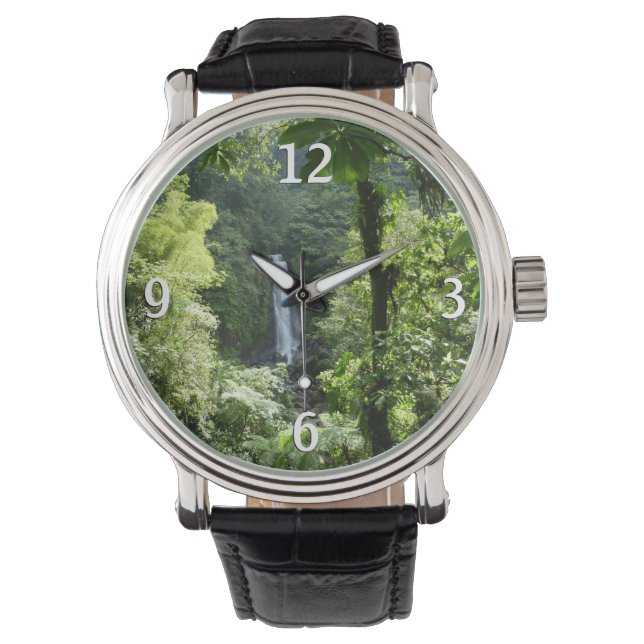 Trafalgar Falls Tropical Rainforest Photography Watch (Front)