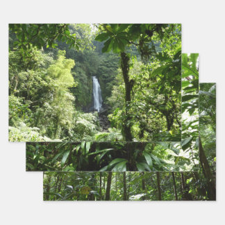 Trafalgar Falls Tropical Rainforest Photography Wrapping Paper Sheet