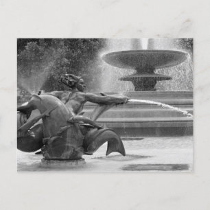 Trafalgar Square Fountains, London Postcard