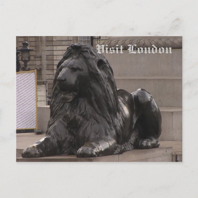 Trafalgar Square Lion Postcard (Front)