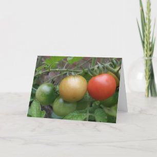 Traffic Light Tomatoes Greeting Card