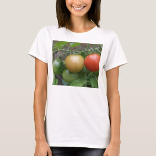 Traffic Light Tomatoes Ladies T Shirt