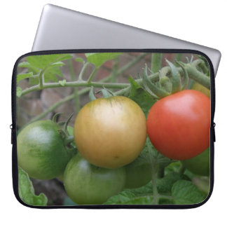 Traffic Light Tomatoes Laptop Bag