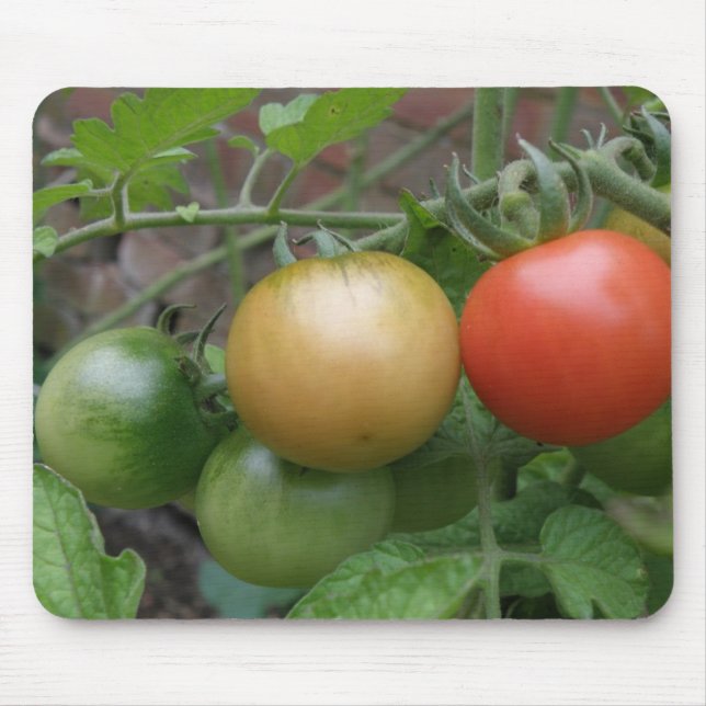 Traffic Light Tomatoes Mousepad (Front)
