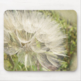 Tragopogon dubius - Yellow Goats Beard Mouse Pad