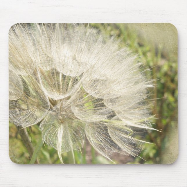 Tragopogon dubius - Yellow Goats Beard Mouse Pad (Front)