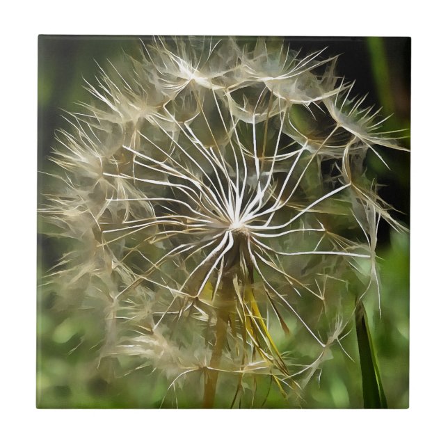 Tragopogon Wildflower Salsify Nature Lovers Art Tile (Front)