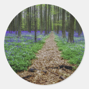 Trail Classic Round Sticker