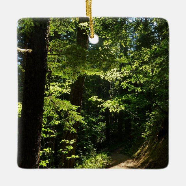 Trail from Silver Falls Ceramic Ornament (Front)
