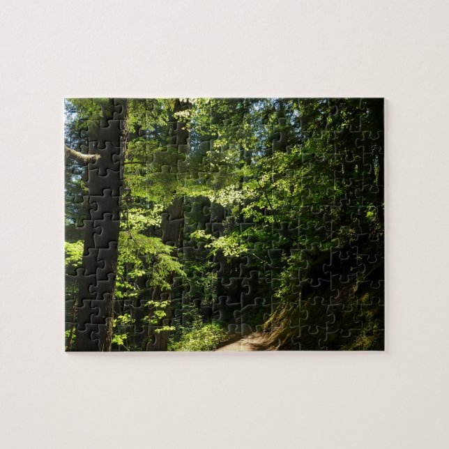 Trail from Silver Falls Jigsaw Puzzle (Horizontal)