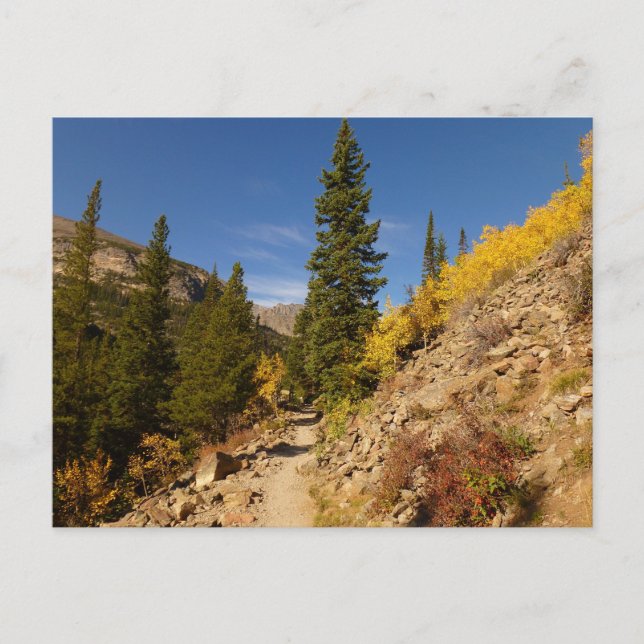 Trail from the Loch at Rocky Mountains Postcard (Front)