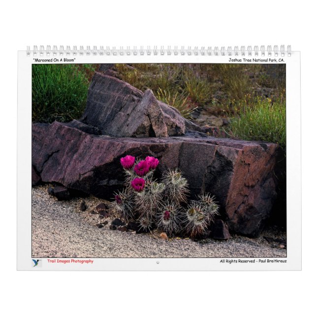 Trail Images Photography Calendar (Cover)