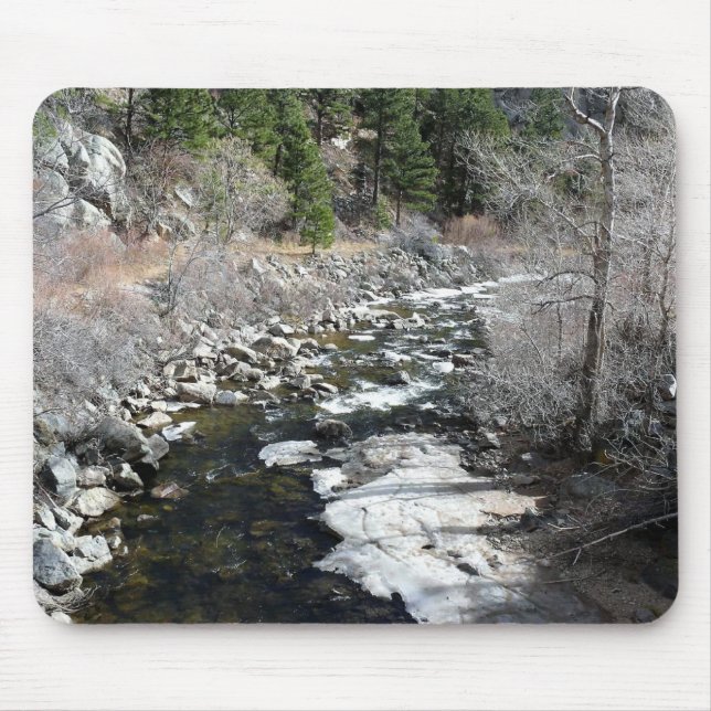 Trail in Jefferson County, Colorado Mouse Pad (Front)