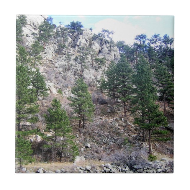 Trail in Jefferson County, Colorado Tile (Front)