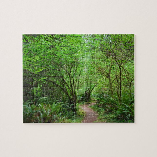 Trail in Redwood Forest Jigsaw Puzzle (Horizontal)