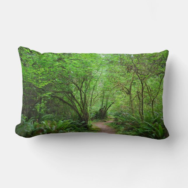 Trail in Redwood Forest Lumbar Pillow (Front)