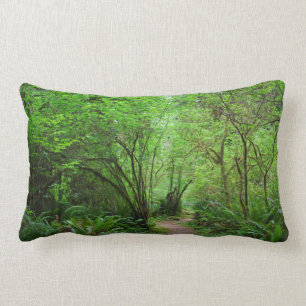 Trail in Redwood Forest Lumbar Pillow