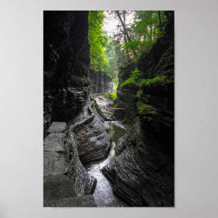 Trail in Watkins Glen, New York Poster