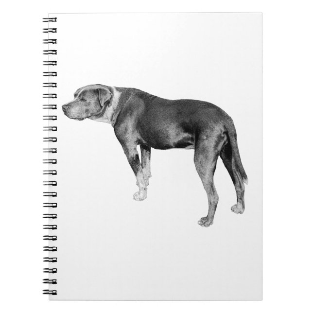 Trail Notes, Steady Heart Notebook (Front)