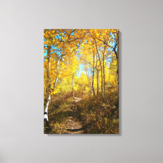 Trail Of Aspens Canvas Print