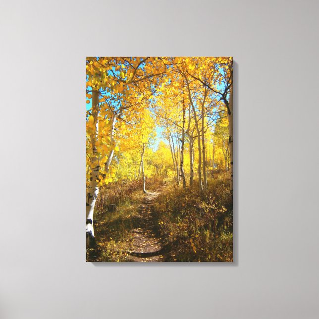 Trail Of Aspens Canvas Print (Front)