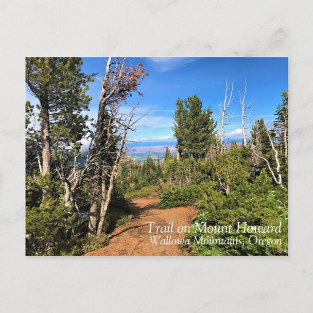 Trail on Mount Howard, OR Postcard (Front)