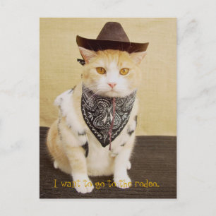 Trail Rider Bubba Postcard
